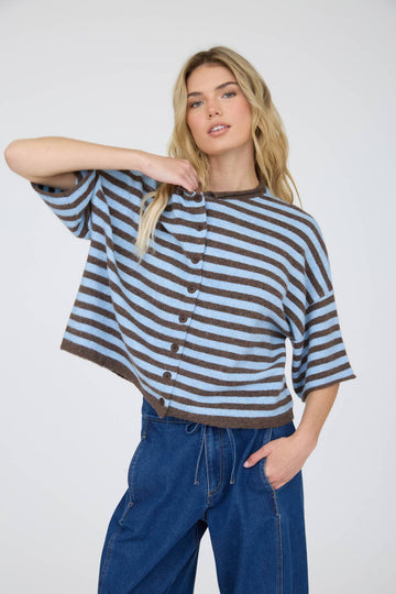 Sky Blue and Espresso Striped Collared Henley Cardigan